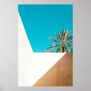 Grüne Palme unter blauem Himmel am Morgen Poster
