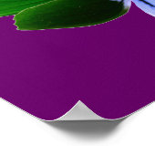 Grüne Pansy Print Poster (Ecke)