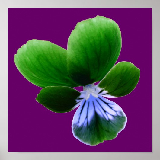 Grüne Pansy Print Poster (Vorne)