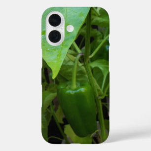 Grüne Paprikaschoten iPhone 16 Hülle