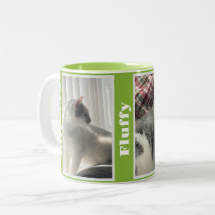 Grüne Pet-Fotos und Namen Zweifarbige Tasse