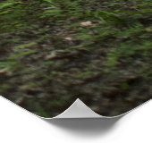 Grüne Pfade 13 Poster (Ecke)
