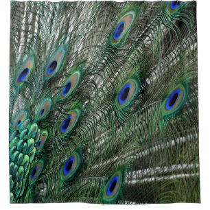 Grüne Pfau-Federn mit blauen Augen Duschvorhang