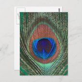 Grüne Pfauenfederhalter Postkarte (Vorne/Hinten)
