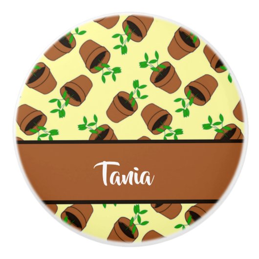 Grüne Pflanze aus Terrakotta auf gelb Keramikknauf (Vorderseite)