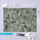 Grüne Pflanze Blätter Botanisch Seidenpapier (Handwerk)