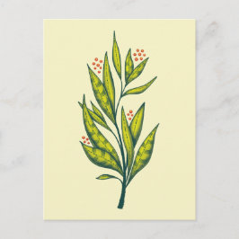 Grüne Pflanze Botanische Kunst Postkarte