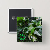 Grüne Pflanze Button (Vorne & Hinten)