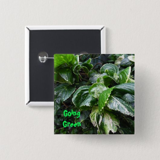 Grüne Pflanze Button (Vorne & Hinten)