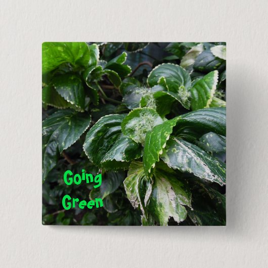 Grüne Pflanze Button (Vorderseite)