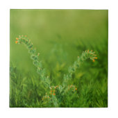 Grüne Pflanze Fliese (Vorderseite)