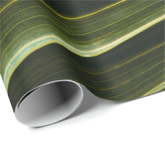 Grüne Pflanze Geschenkpapier (Rolleneckpunkt)