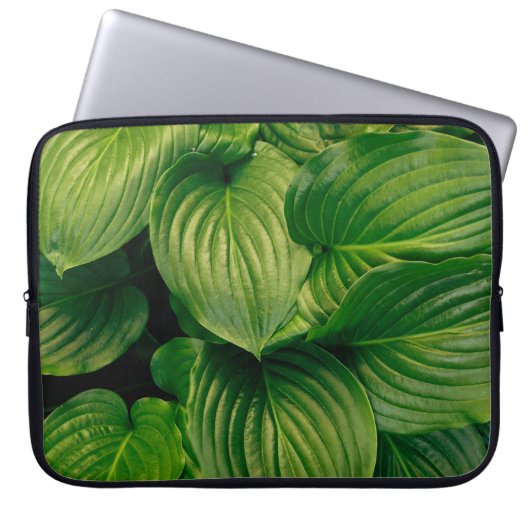Grüne Pflanze Laptopschutzhülle (Vorderseite)