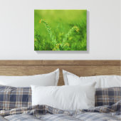Grüne Pflanze Leinwanddruck (Insitu (Schlafzimmer))