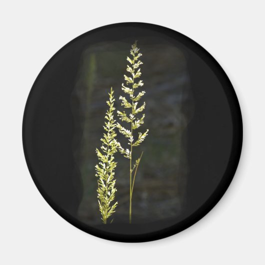 Grüne Pflanze Magnet (Vorne)