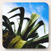 Grüne Pflanze mit Bright Blue Sky Getränkeuntersetzer (Vorderseite)