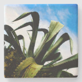 Grüne Pflanze mit Bright Blue Sky Steinuntersetzer (Vorderseite)