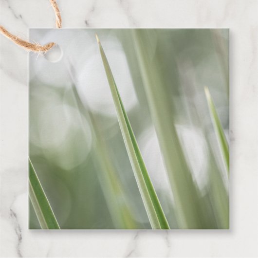 Grüne Pflanze Natur Foto Geschenkanhänger (Vorderseite)