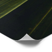 Grüne Pflanze Poster (Ecke)