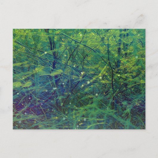 Grüne Pflanze Postkarte (Vorderseite)