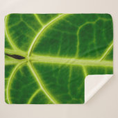 grüne Pflanze Sherpadecke (Vorderseite (Horizontal))