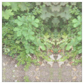 Grüne Pflanze Stoff (Nahaufnahme)