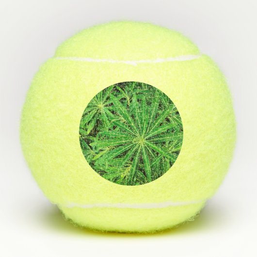 Grüne Pflanze Tennisbälle (Vorderseite)