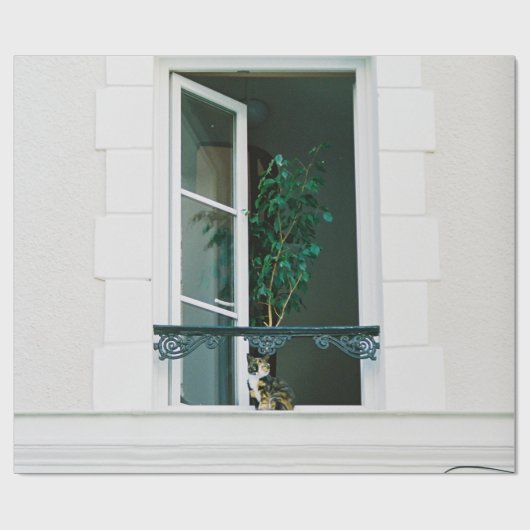 GRÜNE PFLANZE ÜBER DAS WEISSE FENSTER GESCHENKPAPIER (Flach)