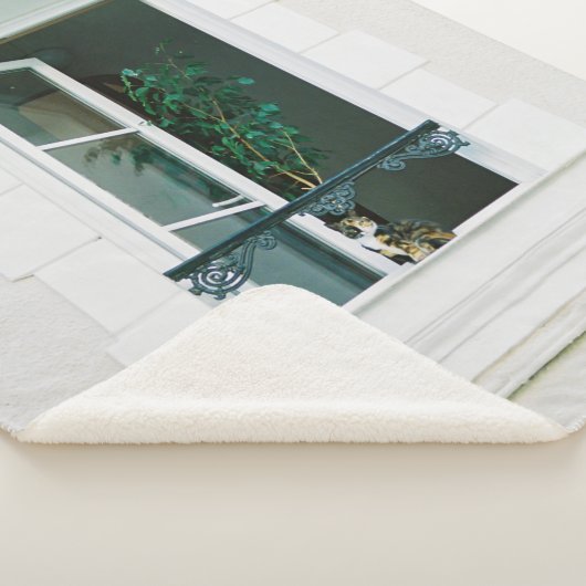 GRÜNE PFLANZE ÜBER DAS WEISSE FENSTER SHERPADECKE (3/4)