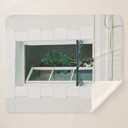 GRÜNE PFLANZE ÜBER DAS WEISSE FENSTER SHERPADECKE (Vorderseite (Horizontal))