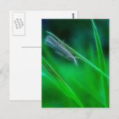 Grüne Postkarte (Vorne/Hinten)