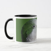 Grüne Quäker-Papageien-Tasse Tasse (Links)