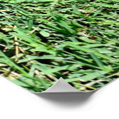 Grüne Rasenflächen Poster (Ecke)