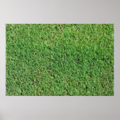 Grüne Rasenflächen Poster (Vorne)