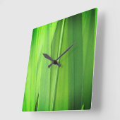 Grüne Rasenschildkröten Quadratische Wanduhr (Winkel)