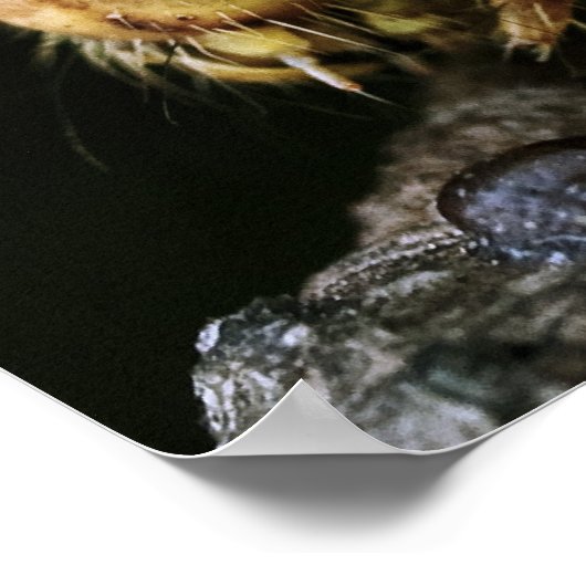 Grüne Raupe Poster (Ecke)