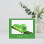 Grüne Raupe Postkarte (Stehend Vorderseite)