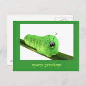 Grüne Raupe Postkarte (Vorne/Hinten)