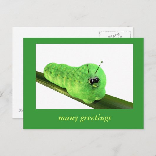 Grüne Raupe Postkarte (Vorne/Hinten)