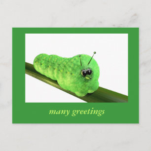 Grüne Raupe Postkarte
