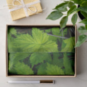 Grüne Reben Seidenpapier (Geschenk)