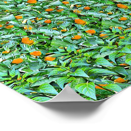 Grüne Reihen - Versteckter 3D-Druck Poster (Ecke)