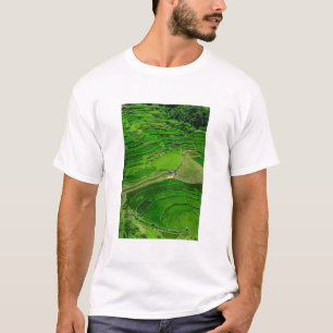 Grüne Reisterrassen, Philippinen T-Shirt
