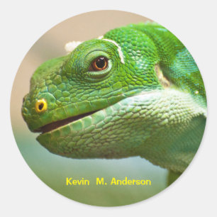 Grüne Reptilienfläche Nah Runder Aufkleber