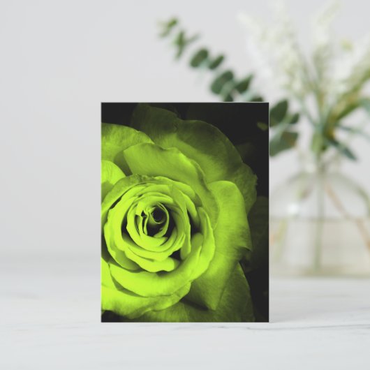 Grüne Rose Postkarte (Stehend Vorderseite)