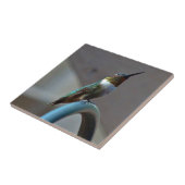 Grüne Ruby kleiner Hummingbird Fliese (Seite)