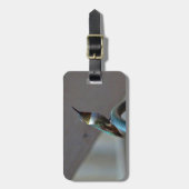 Grüne Ruby kleiner Hummingbird Gepäckanhänger (Vorderseite vertikal)