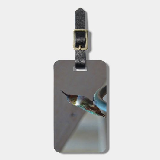 Grüne Ruby kleiner Hummingbird Gepäckanhänger (Vorderseite vertikal)