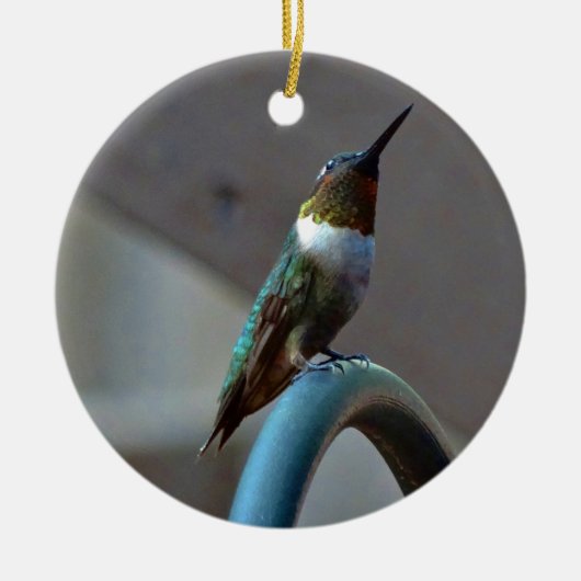 Grüne Ruby kleiner Hummingbird Keramikornament (Vorne)