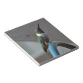 Grüne Ruby kleiner Hummingbird Notizblock (angewinkelt)